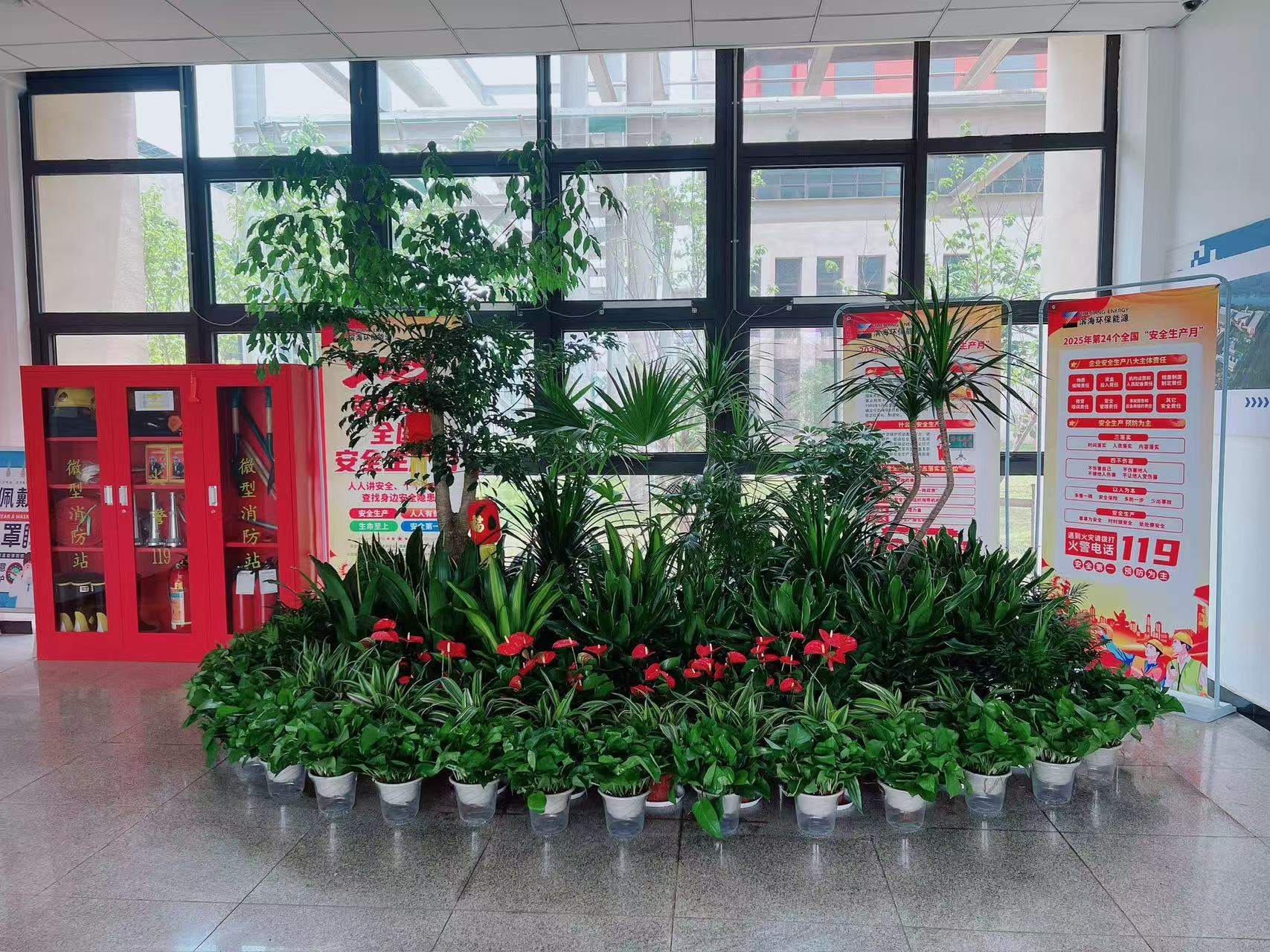 深挖宁波奉化绿植租摆设计，增添空间绿意